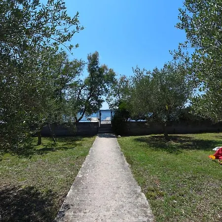 Apartments Bibinje By The Beach Exterior photo
